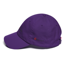 Load image into Gallery viewer, Trap Hat